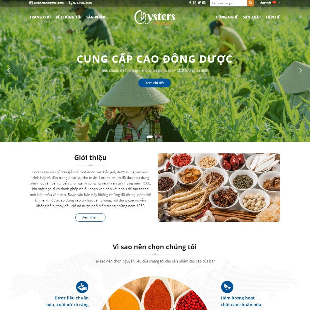 Theme wordpress thực phẩm chức năng 11